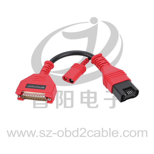 寶馬轉用電池連接線2